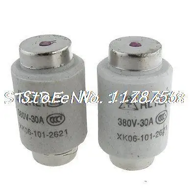 

2pcs RL1-60 AC 380V 30A 48 x 26.5mm Screw Type Fuse Link Low Voltage