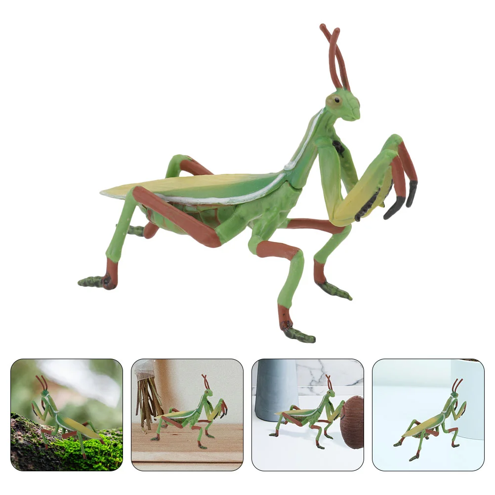 

Insect Figures Garden Model Figurine Mini Statue Grasshopper Decor Sculptureornaments Green Toy Decoration 3D Summer Kit Micro