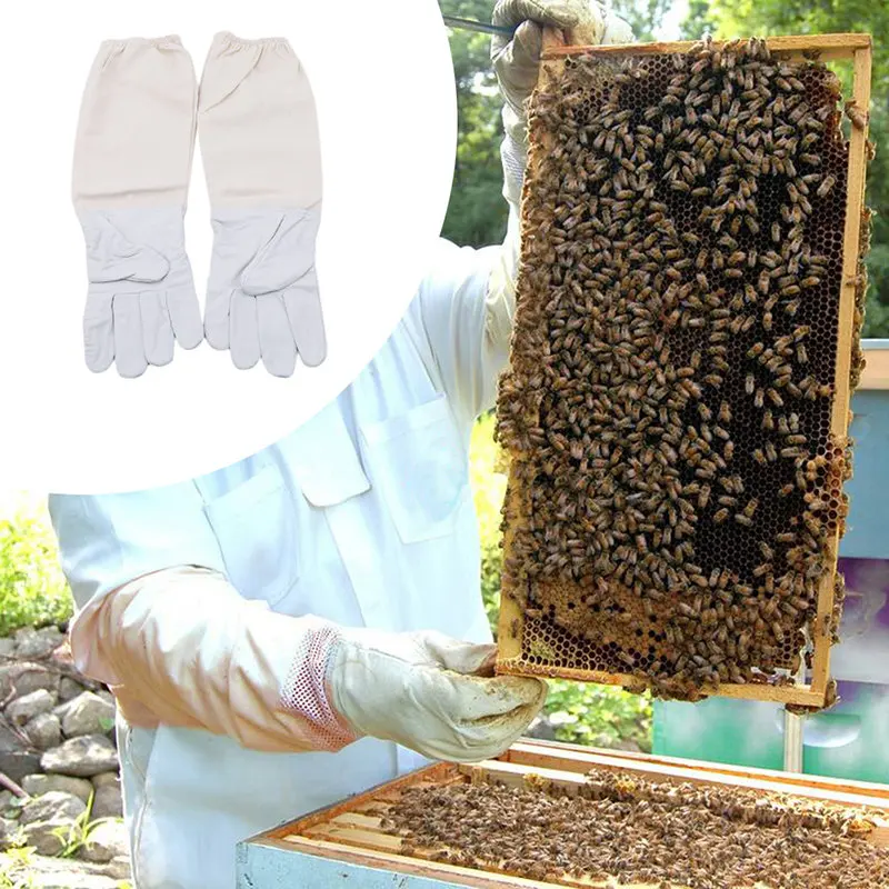 

Professional Protective Beekeeping Gloves Goatskin Sleeves Anti Bite Bees Bee Keeping Tools Beekeeper Beekeeping Equipment