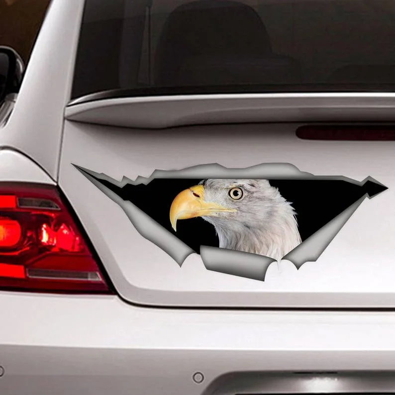 

Eagle car decal , bird car decal, Vinyl decal, bird sticker, funny decal, eagle sticker