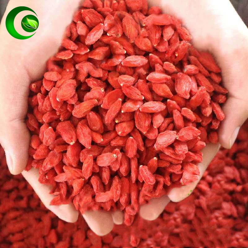 

Китайская Волчья ягода Годжи, Священная ягода Лициевая синенсийская мельница. Лициевый китайский