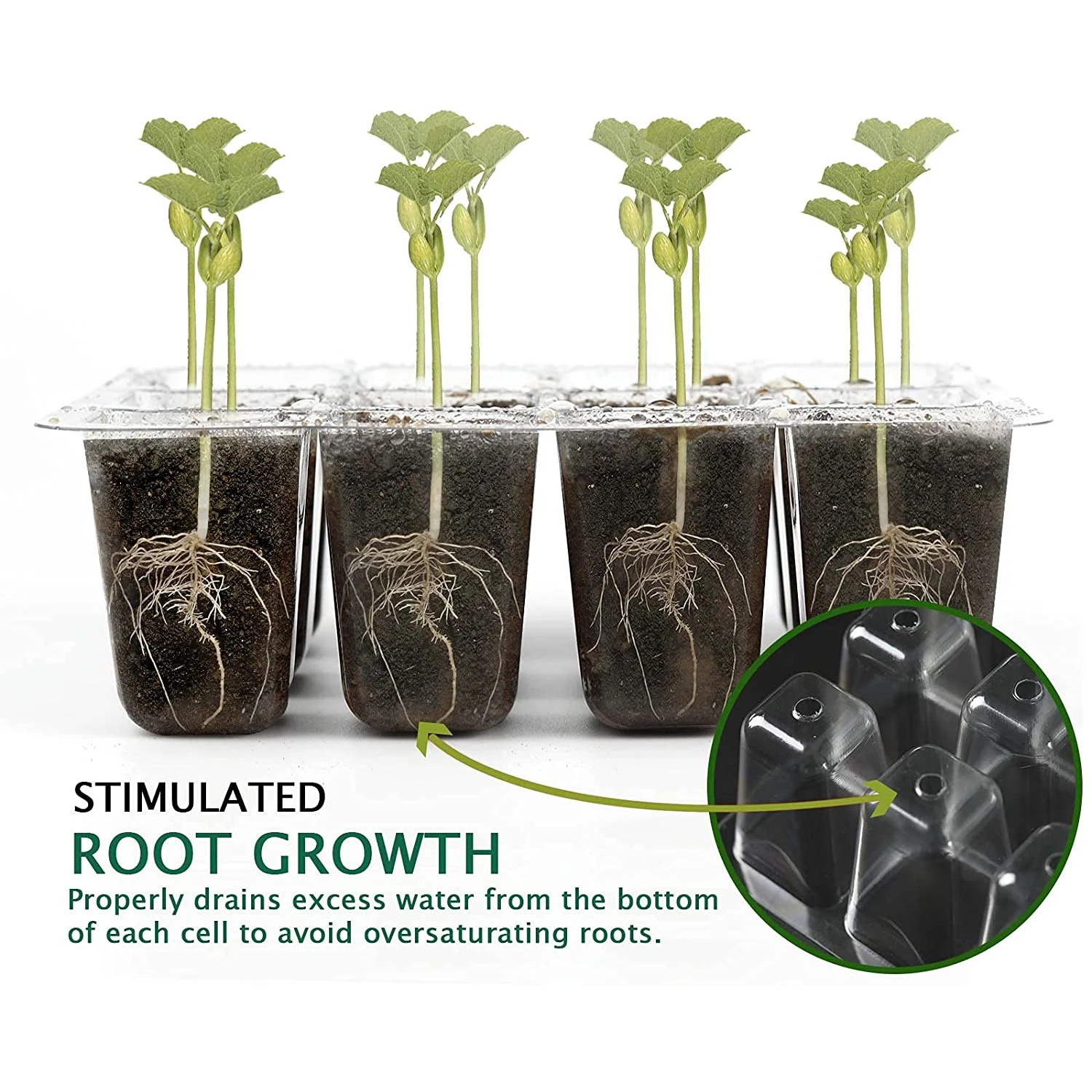 Стартовый набор семян 6/12 ячеек коробка для выращивания подносы рассады