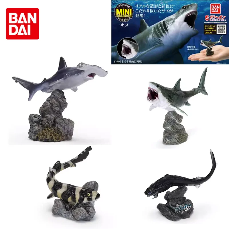 

Биография Bandai, имитация организма, Акула, биомиметические морские животные, модель, подвижные игрушки, подарок, имитация модели, орнамент