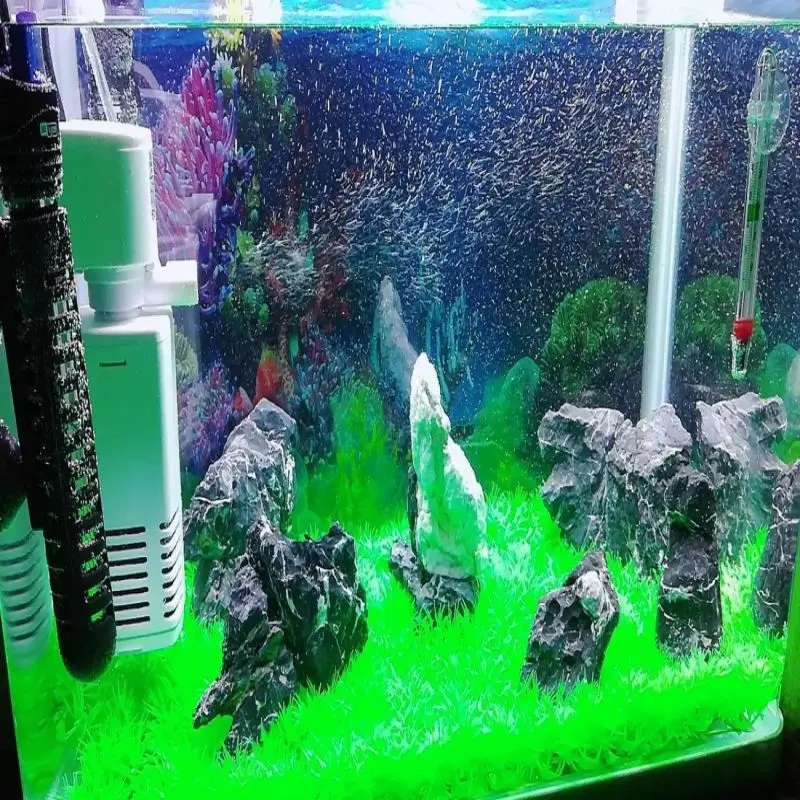 10Pcs Qinglongshi Small Pickling Selected Micro Grass Tank Landscape Stone Natural Moss Tank Mini Ornaments Small Rockery Stone