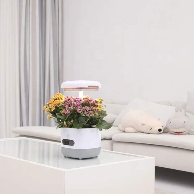 Гидропонные системы для домашнего сада с лампочками выращивания растений