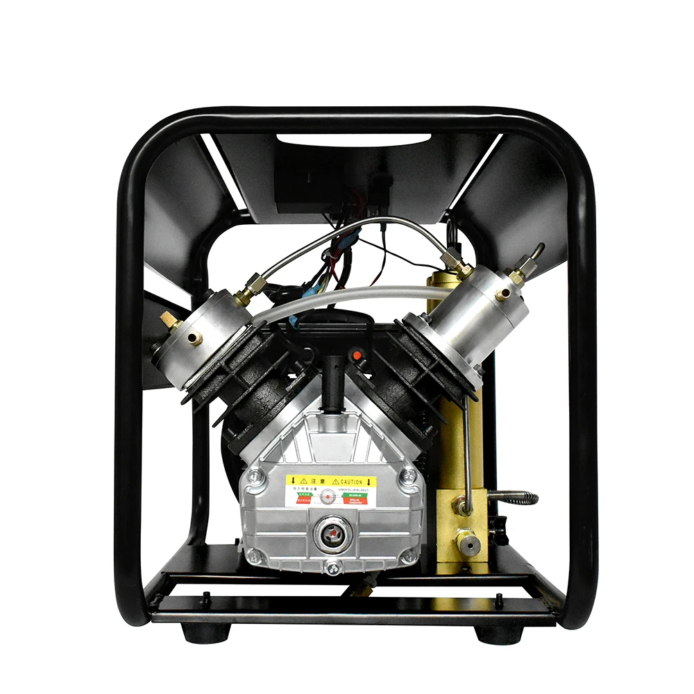Double Cylinder High Pressure Pump With Double Filter For Diving Scuba Rifle