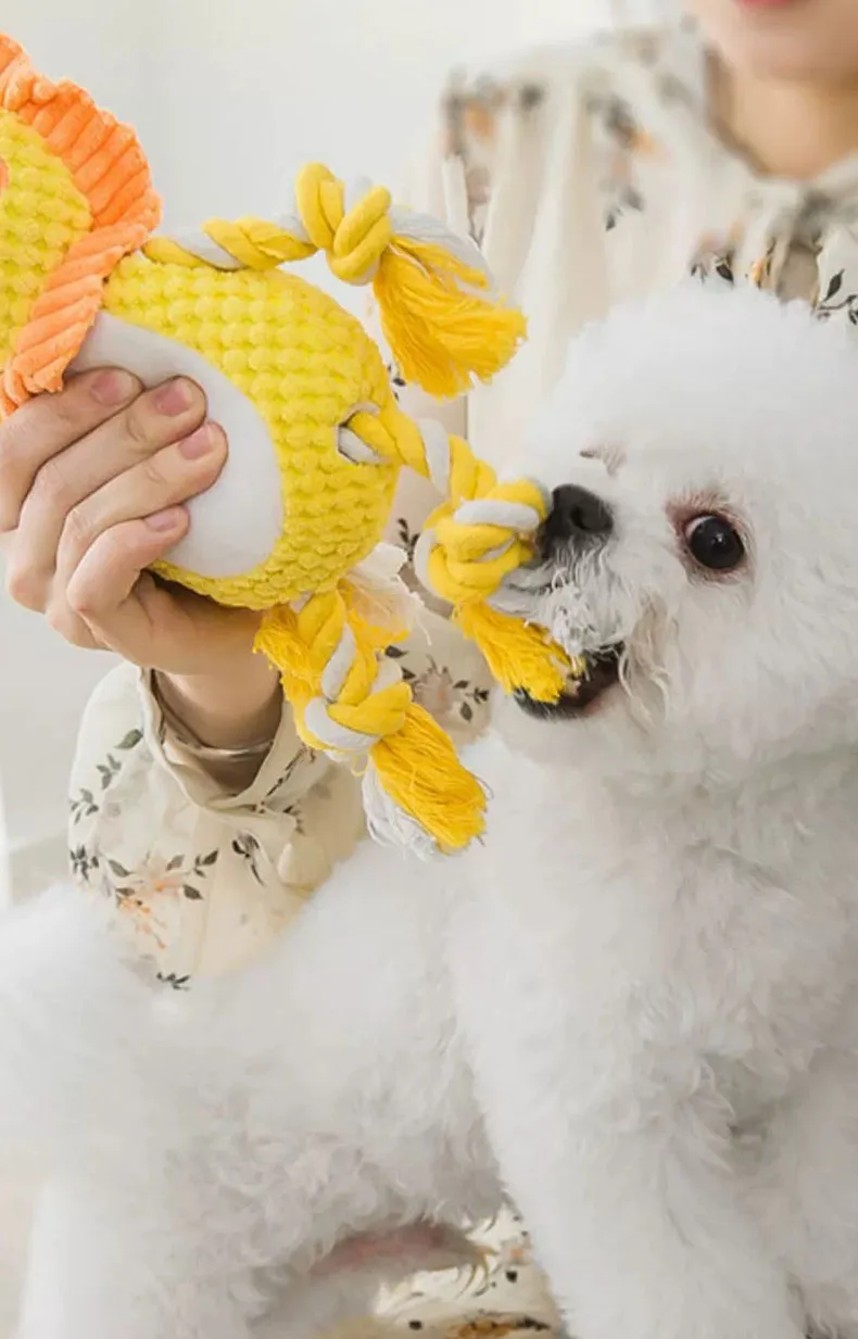 

Dog Pet Vocal Toys Bite Resistant Molars Boredom Relief Training Cat Plush Toy Supplies Cat Accessories Pet Items Free Shipping