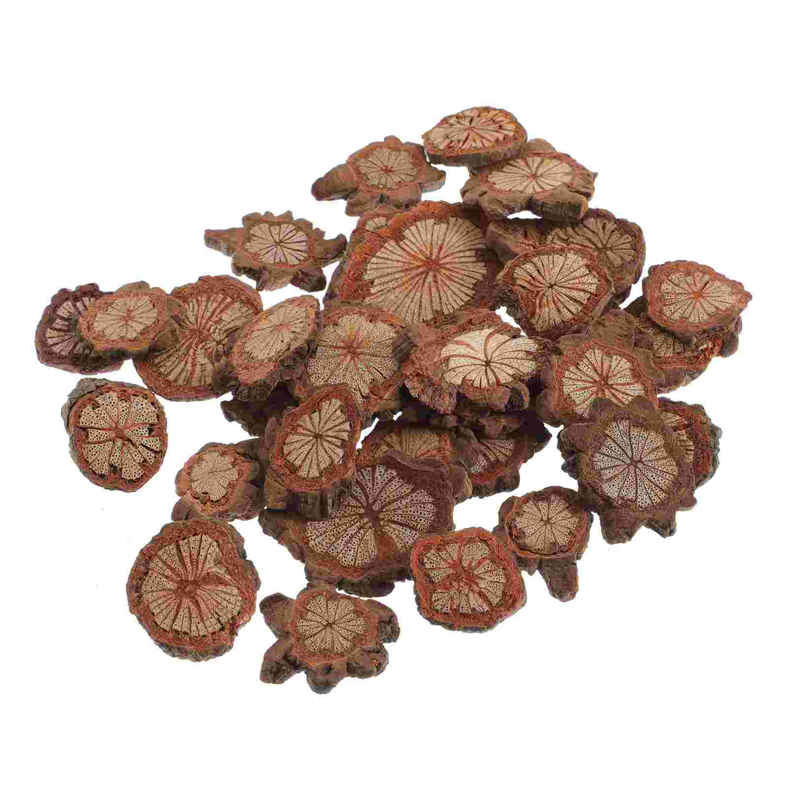 

Red Vine Wood Chips Idyllic Craft Kids Toy Rustic Wooden Natural Home Decor Ornament DIY Supply Accessories Wafer Material