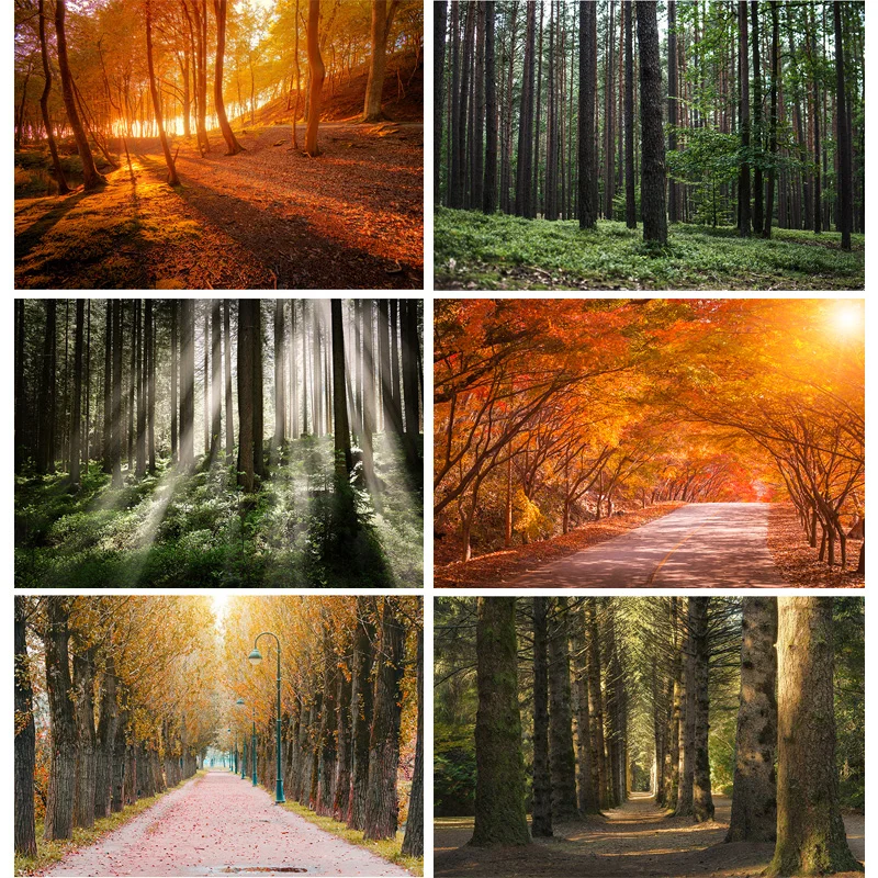 

Green Forest Nature Scenery Photography Background Landscape Portrait Photo Backdrops Studio Props 21102 KKL-01