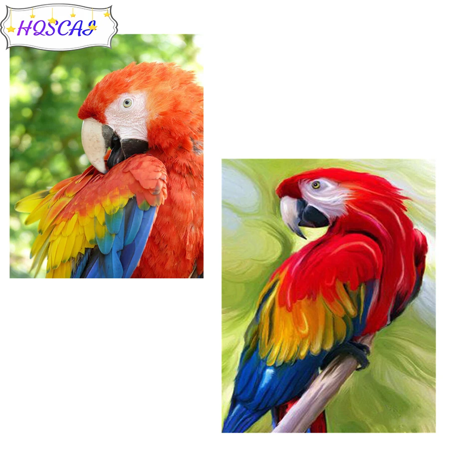 

20x25 см x 10 цветов AB