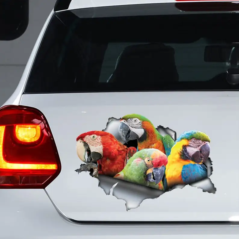

Macaw car decal, Macaw magnet, Macaw sticker, parrot car decal