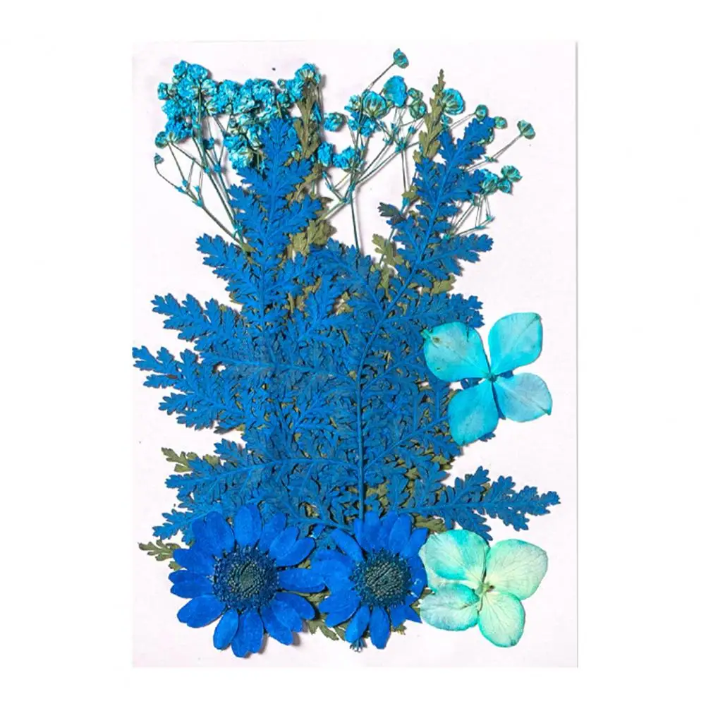 Натуральные сухие цветы для поделок