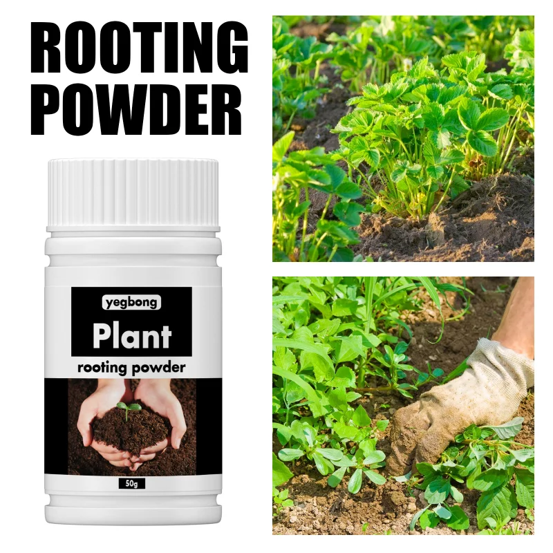 

50/100g Rooting Powder Hormone for Cuttings Enhancer Promote Root Growth for Seedlings Seeds Vegetabls Potting Soil Fertilizer
