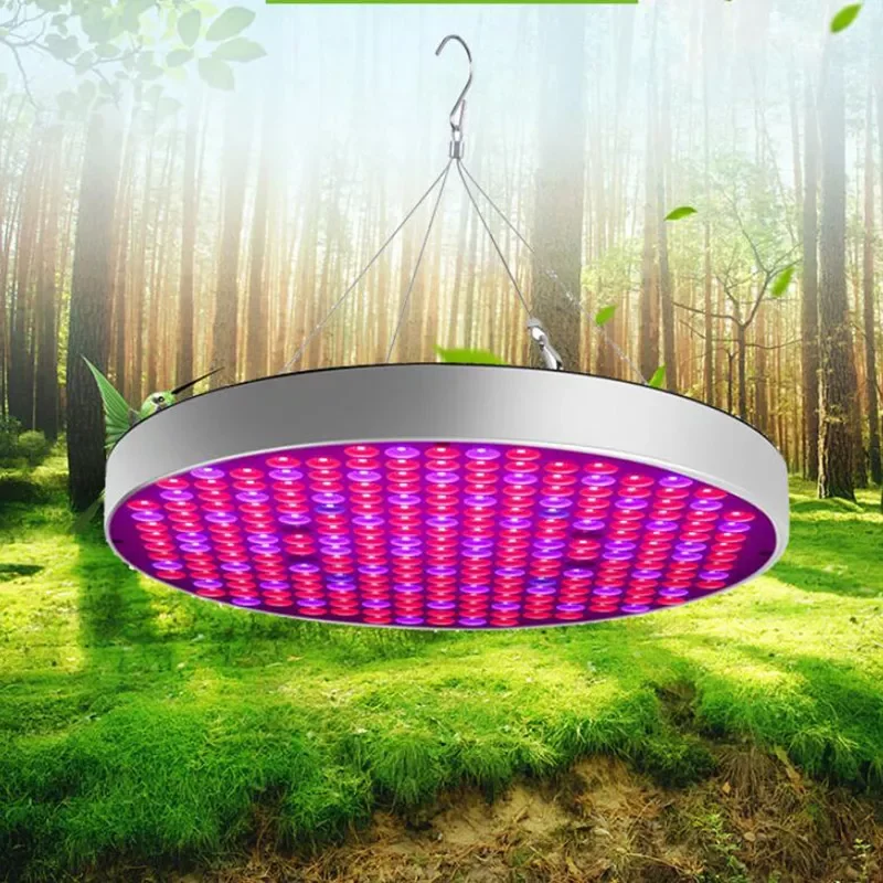 

50W UFO LED grow Light tent box kit Phyto Lamp Full Spectrum Growing For indoor Greenhouse flower fitolamp plant lamp Hydro