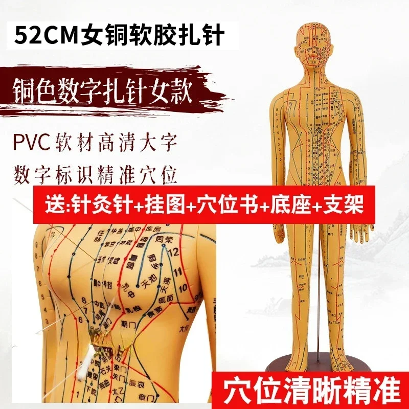 Модель человеческих акупунктурных точек и меридианов из двух бронзовых фигурок