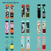 new product straight net red long socks female cotton spring illustration creative funny autumn and winter straight socks