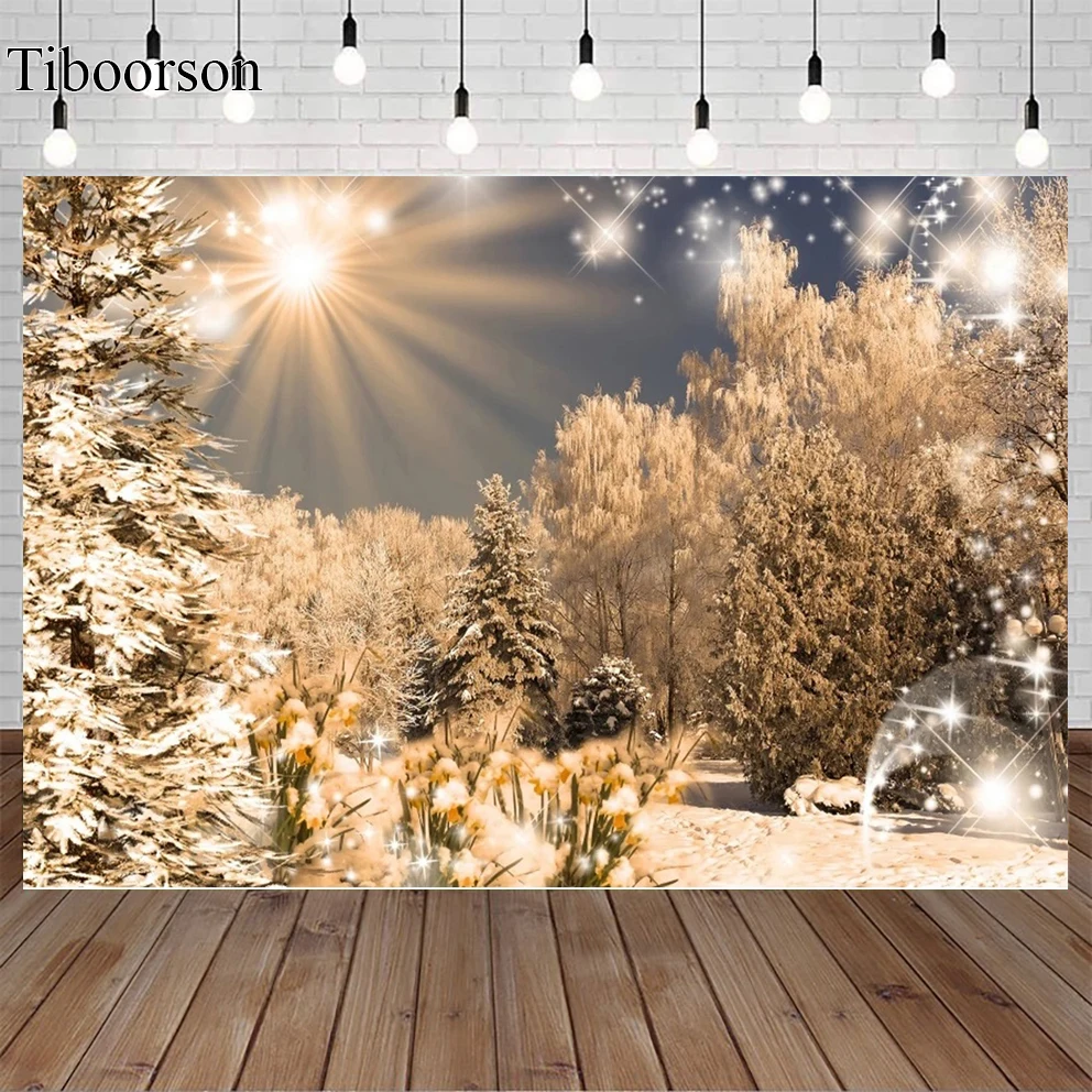 Фон для фотосъемки с изображением зимнего леса заката заснеженных гор природный