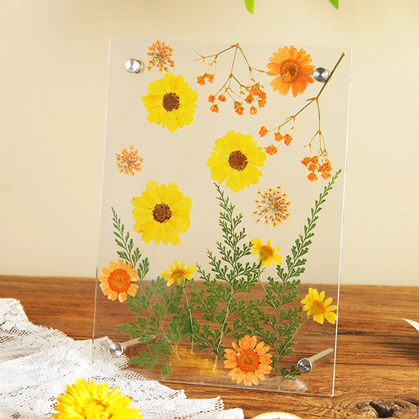 

Clear Acrylic Tabletop Picture Frame Frameless Herbarium Display Frame Picture Frame Certificate Rectangle Plexiglass Holder