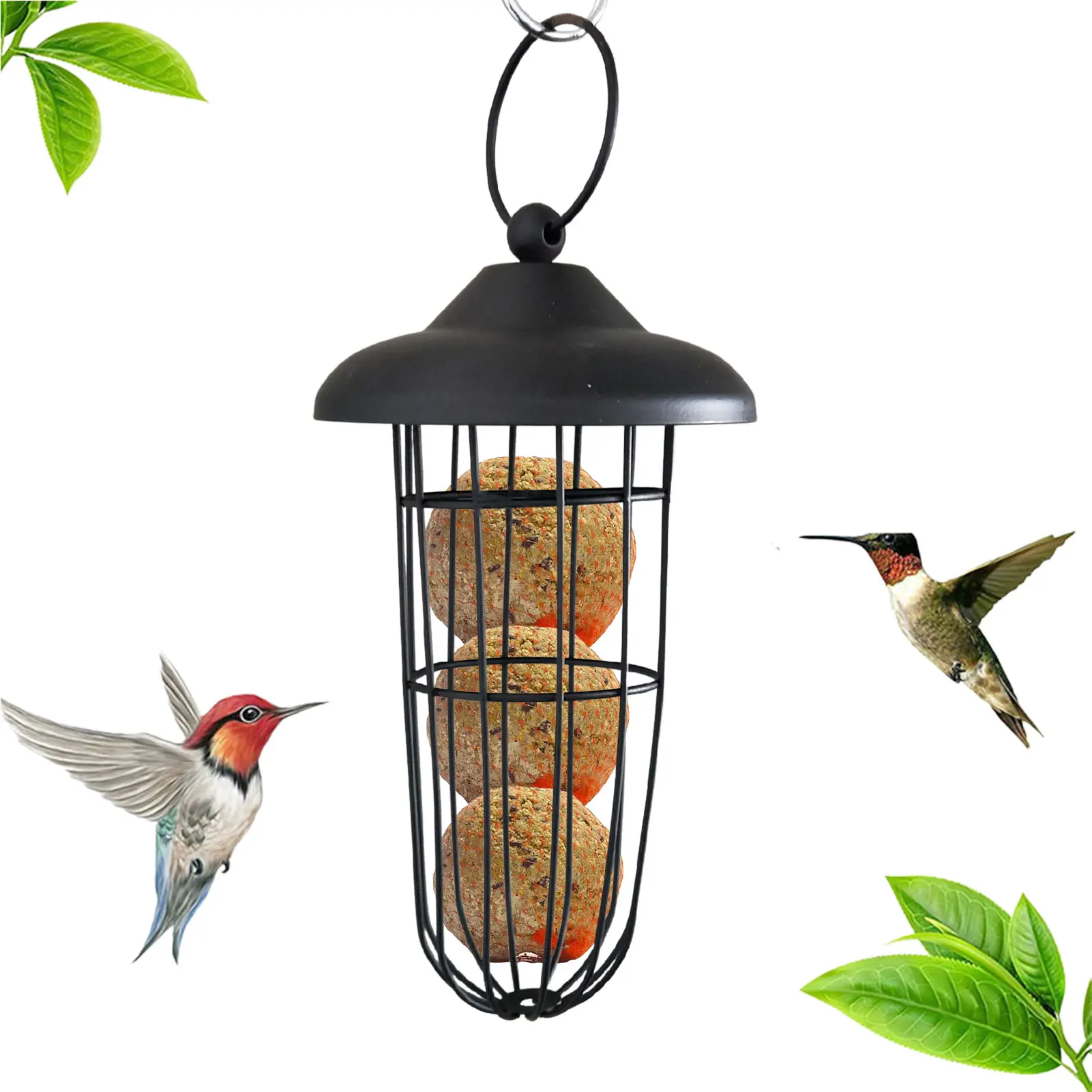 

Bird Feeder Fat Ball Feeder Wild Bird Seed Feeder Squirrel Proof Bird Feeder Hangings Bird Feeders For Small Birds Garden Yard