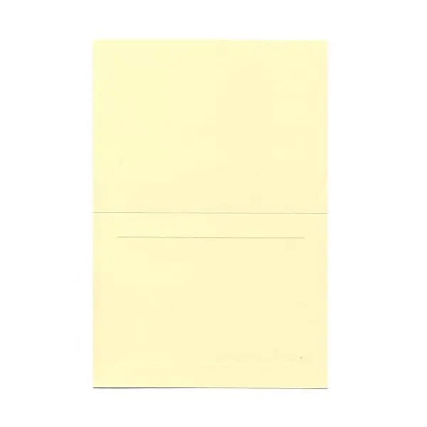 

Cards, 4 5/8 x 6 1/4, 100/Pack, Ivory Panel