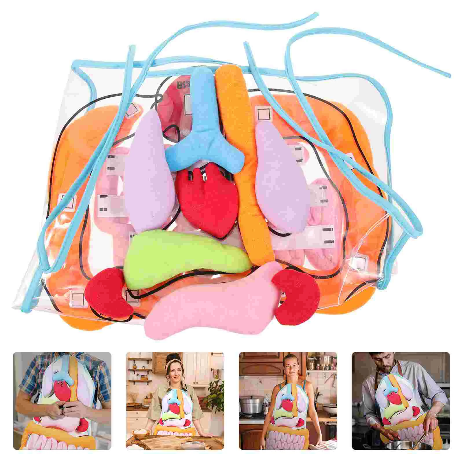 

Organ Apron Three-dimensional Organs Childhood Teaching Aids Children Learning 3d Puzzles Kids