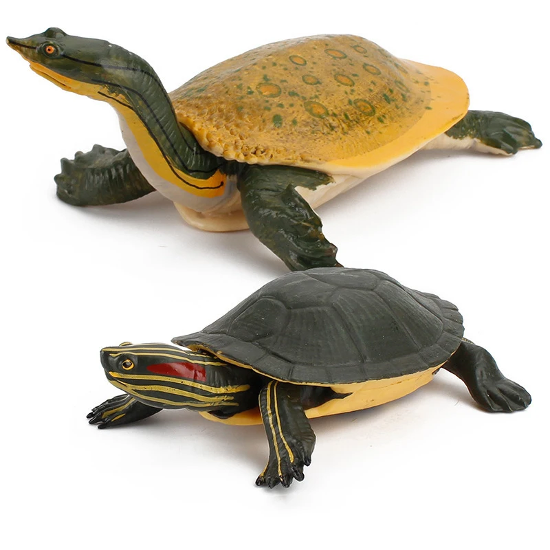 Realistic Freshwater Turtle Model Turtle Brazilian Turtle ABS Simulation Model Series Children's Educational Toys