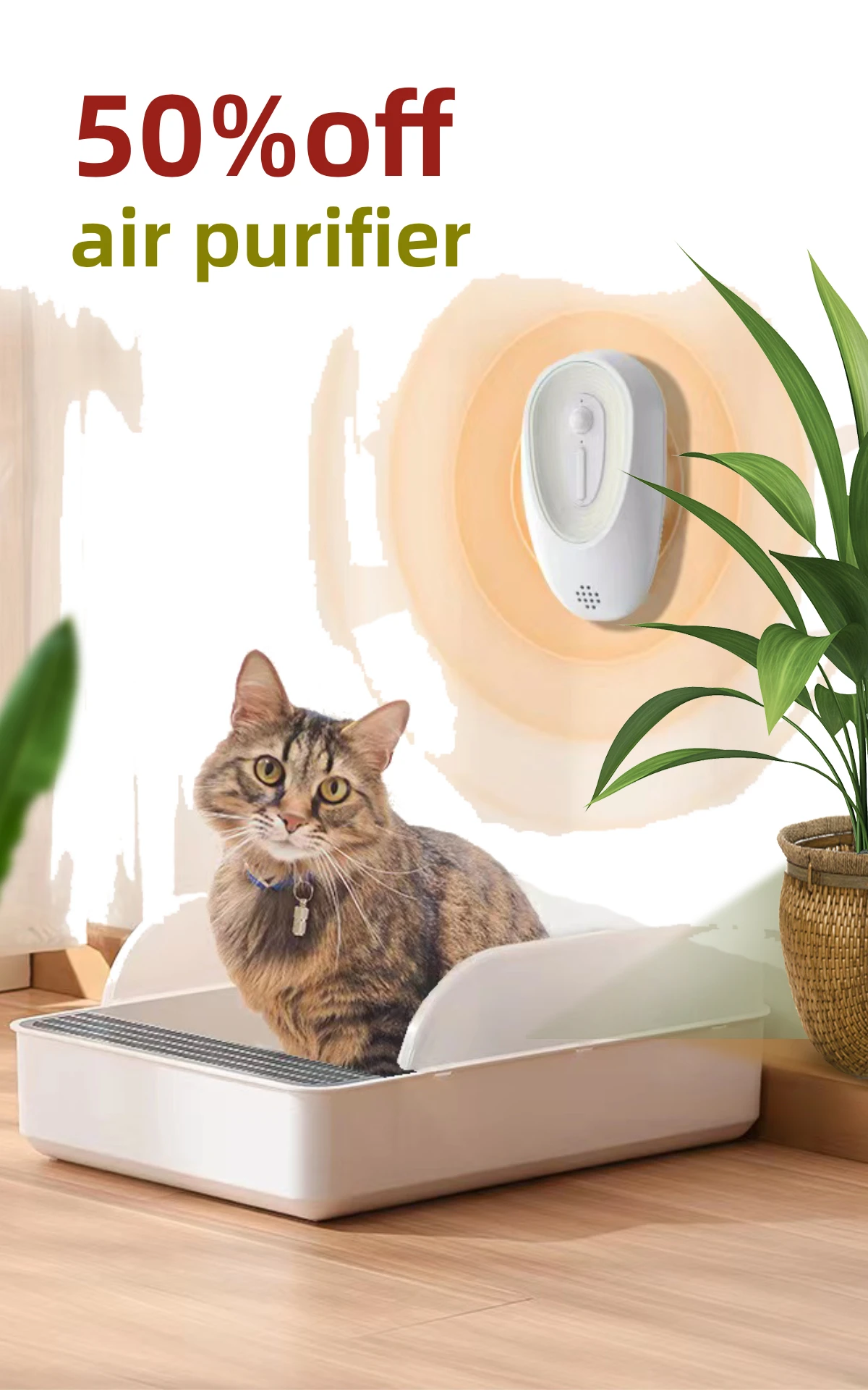 

Special price supplement link