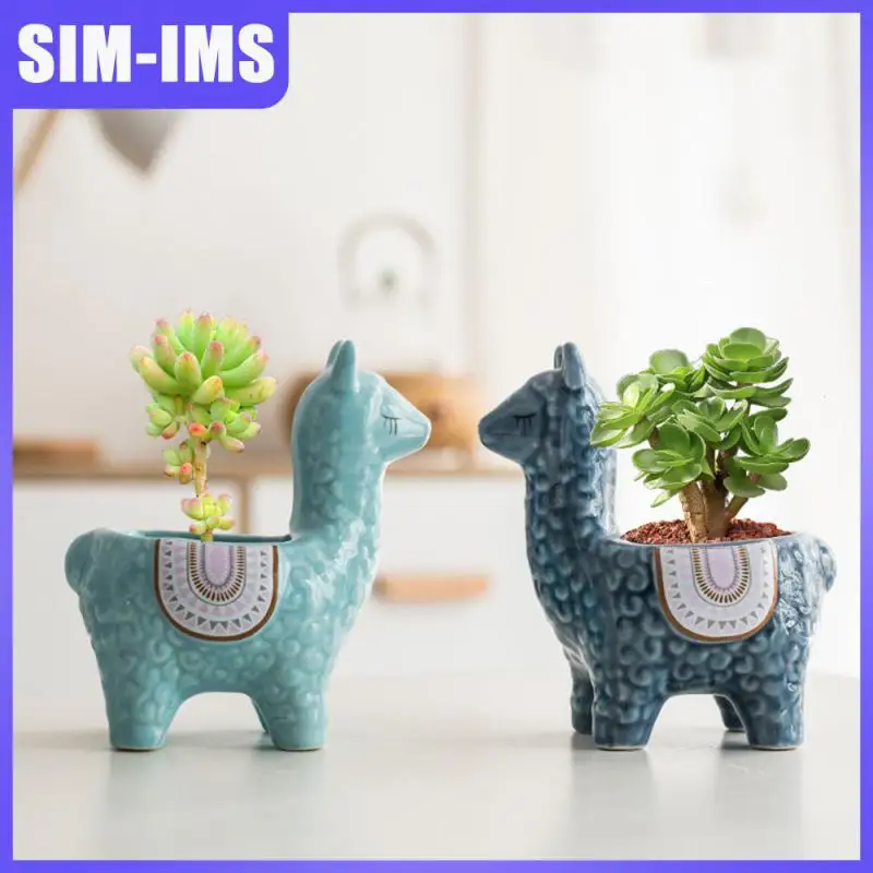 

Table Living Room Decor Plant Cactus Potted Multifunctional Decorative Flower Pots Succulent Bonsai Mini Flowerpot Cute Nordic