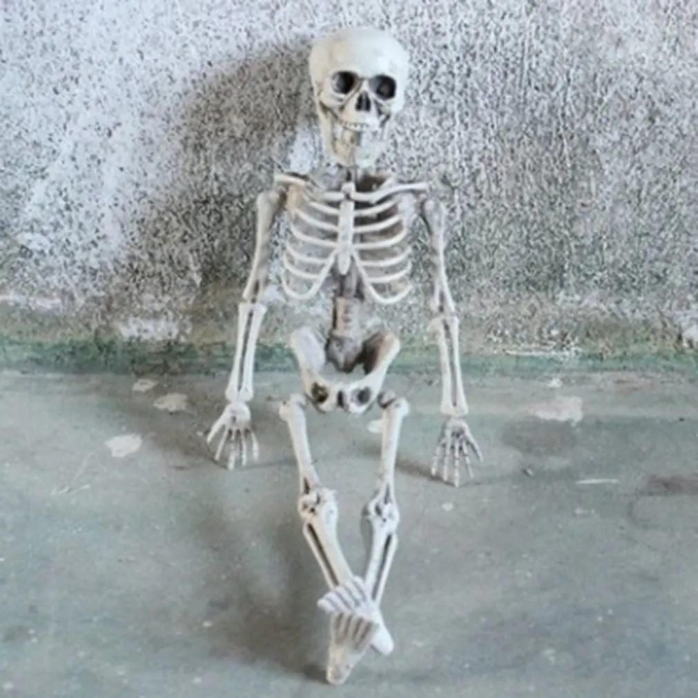 

Active Human skeleton Model Anatomy Skeleton Skeleton Model Learning Halloween Party Decoration Skeleton Art Sketch