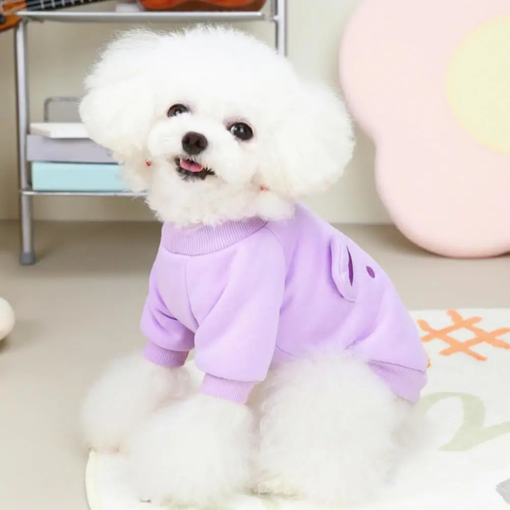 

Anti-fall Stylish Little Bear Appearance Pet Sweater Polyester Pet Apparel Embroidered for Teddy