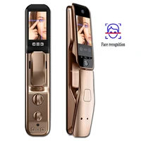 facial face recognition lock with camera palm print fingerprint magnetic card password automatic switch smart door lock