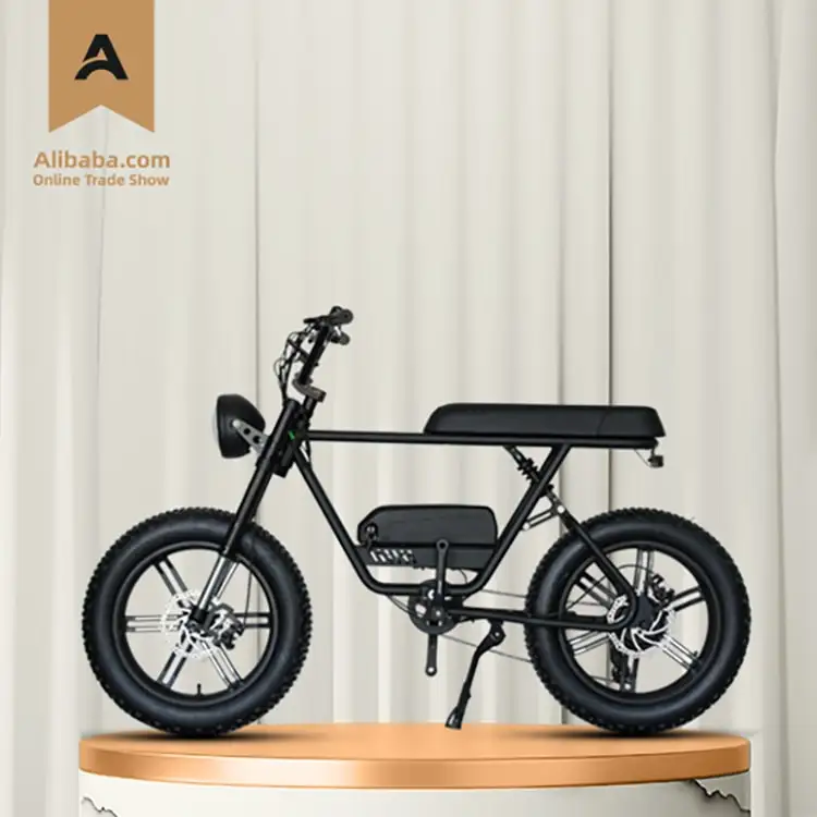 

Free Shipping Overseas Warehouse Spot China Cheap Price Long Range Dirt Mountain Fat Tire Ebike E Bike Electric Bicycle For Sale