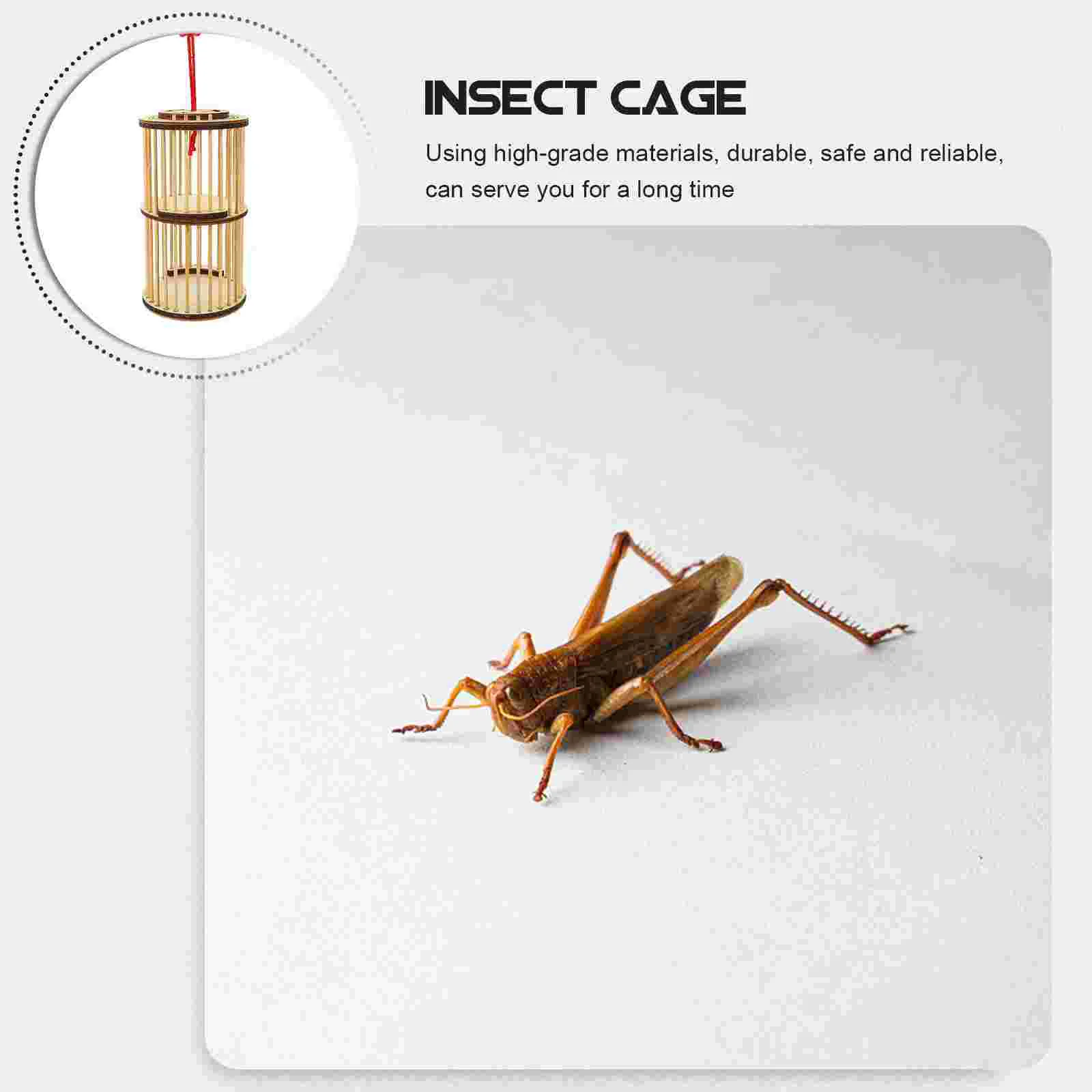 Транспортная клетка для переноски песен контейнер насекомых крикет из цельного