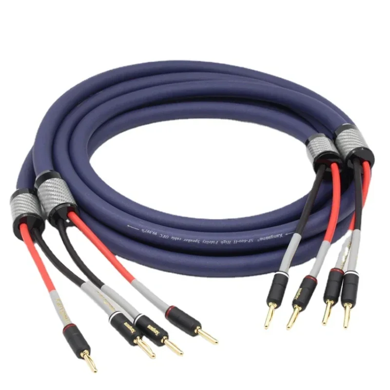 1 пара медный кабель Hi-Fi для динамиков 2 Х5 5 мм²