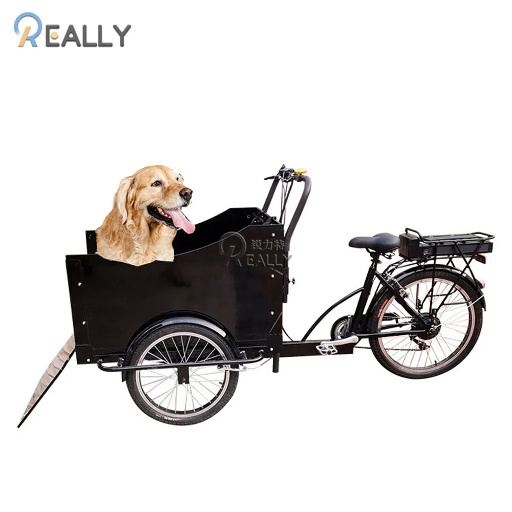 

High Quality Carrying Pet Dog Cargo Electric Tricycle 3Wheels Children Carry Bike for Shopping
