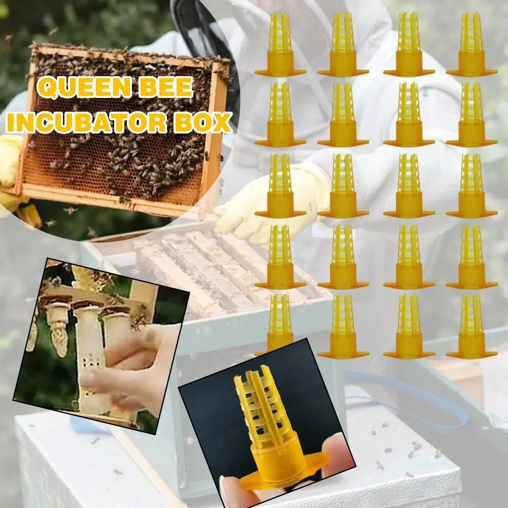 

Queen Rearing Kit Nicot Cell Base Protection Cover Bee Beekeeping Incubator Cage Larva Supplies High Box Accepted V2R0