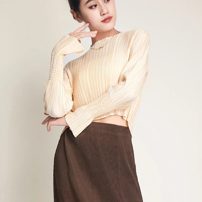 Miyake pleated long-sleeved t-shirt women's short high-waisted round neck bottoming shirt niche small shirt autumn