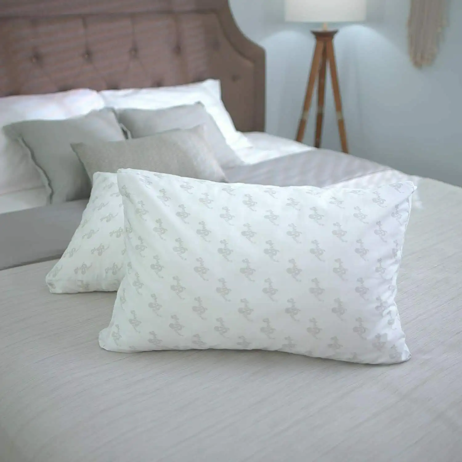 

Classic S/Q Medium White Sleeping Pillow
