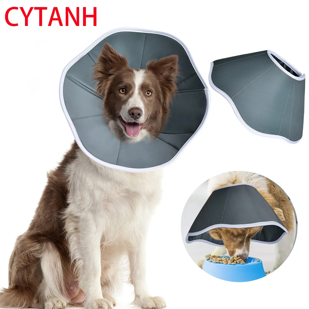 

Neck Pet Protective Collar Dog Cone Recovery Cone Collar for Anti-Bite Lick Surgery Wound Healing Cat Dogs Health Medical Circle