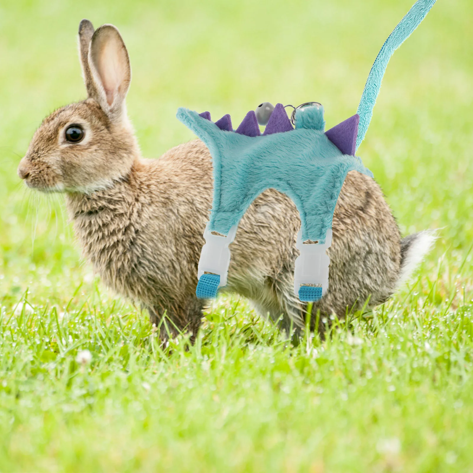 

Outdoor Convenient Lightweight Comfortable Portable Small Animal Vest Ferret Walking Vest