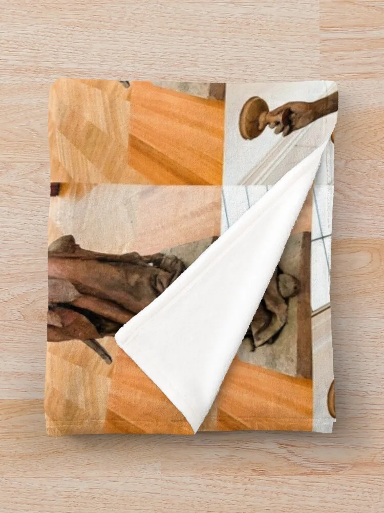 Париж Petit Palais The Toast от Idrac Пледы из фланелевой ткани Одеяла для дивана Hairys