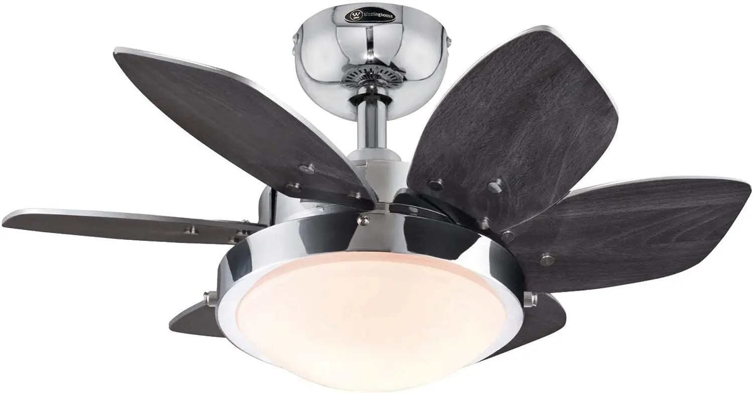 

7236600 Quince Indoor Ceiling Fan with Light, 24 Inch, Chrome Espresso coffee maker Coffee accessories Coffee makers Coffee make