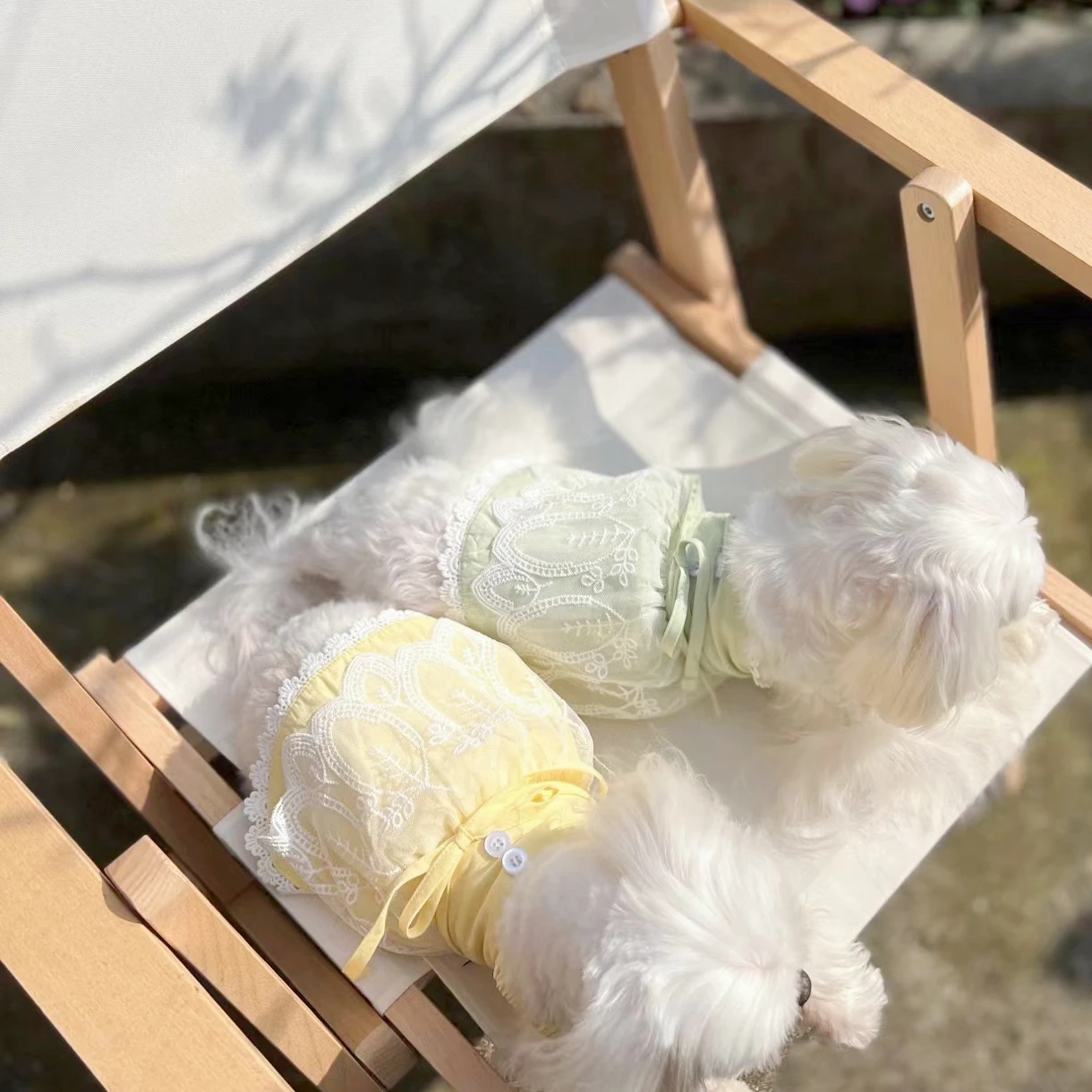 Весенне-летние хлопковые кружевные подтяжки маленькая собака Мальта Бишон