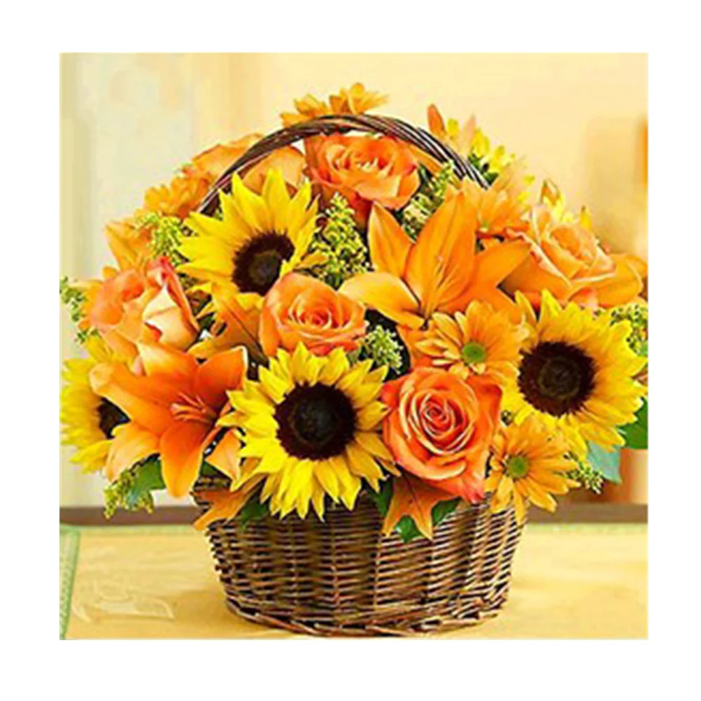 

DIY 5D Diamond Embroidery Painting Kit Cross Stitch Pictures Crafts Household Wall Decor (Flower Basket)