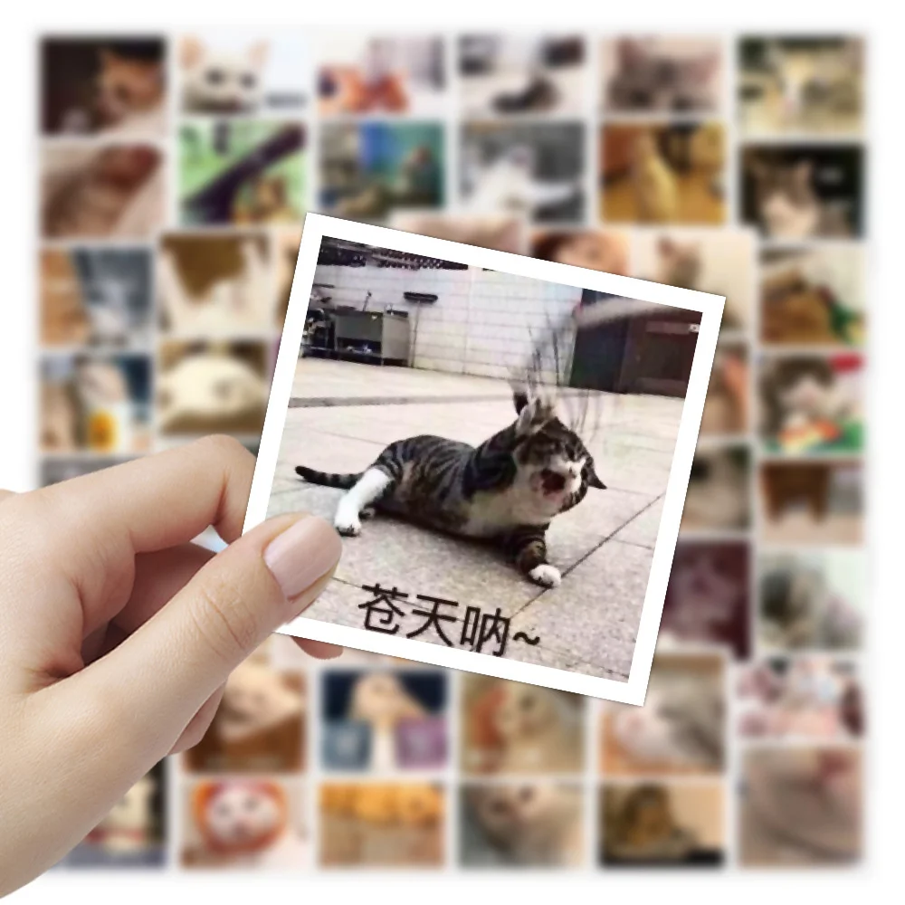 10/30/50PCS Cute Cat Expression Bag Personalized Graffiti Waterproof Sticker Creative Fashion Refrigerator Guitar TrendWholesale - купить по