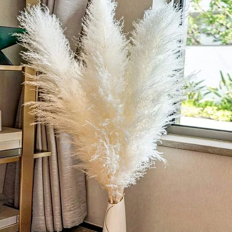 

Natural big reed pampas pampas dried flower bouquet ins home decor photography bohemian decor