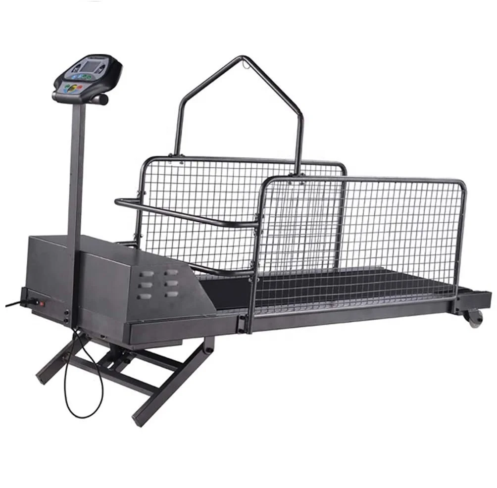 Manufacturer Customization Various Models Pet Dog Treadmill Walking Machine Training Exercise Pet Treadmill For Dogs