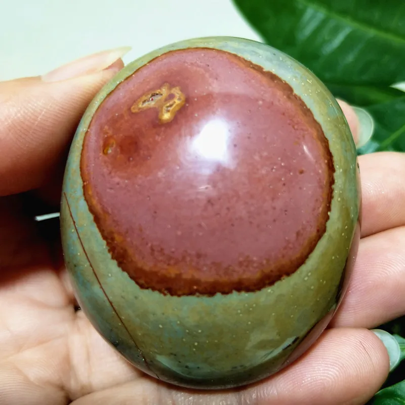 

Кристалл океанская пальма EBET