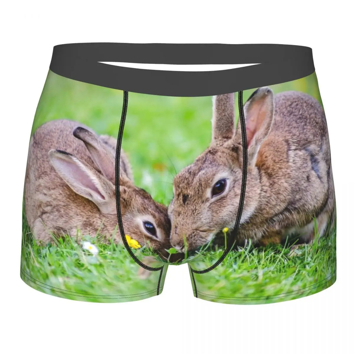 Boxershorts Men Comforable Panties Set Two Rabbits On Grass Underwear Man Boxer
