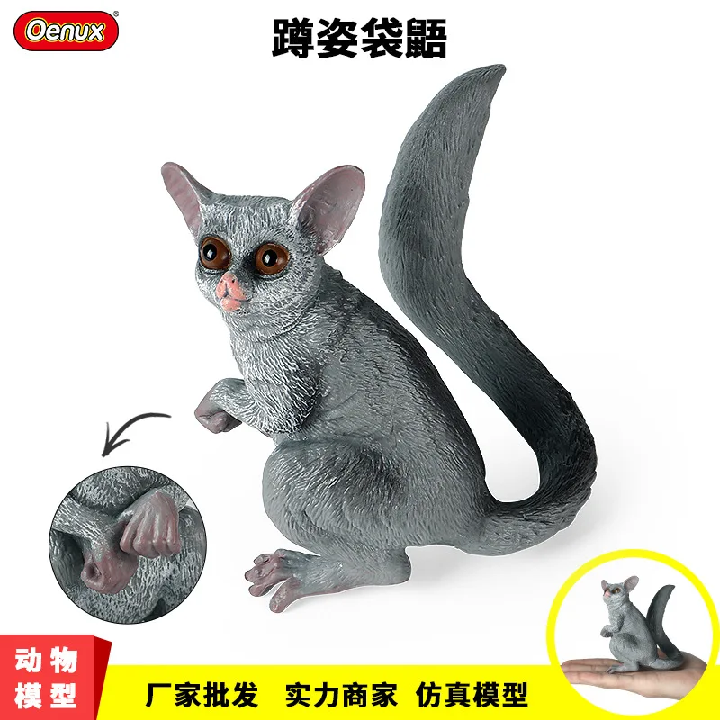 

10cm wild Animal mini size Sugar Glider solid simulation Model Action Figures zoo Education Toy Collection Ornaments Kids gifts